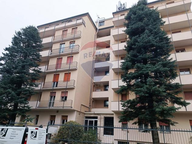 quadrivano in affitto a Busto Arsizio