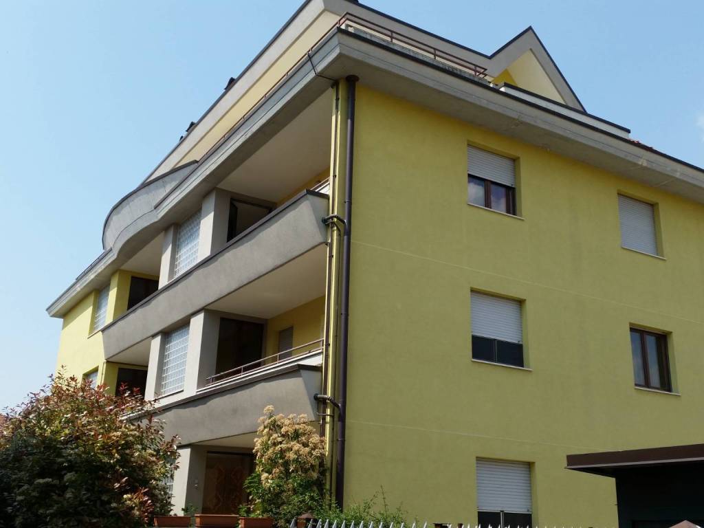 appartamento in affitto a Busto Arsizio