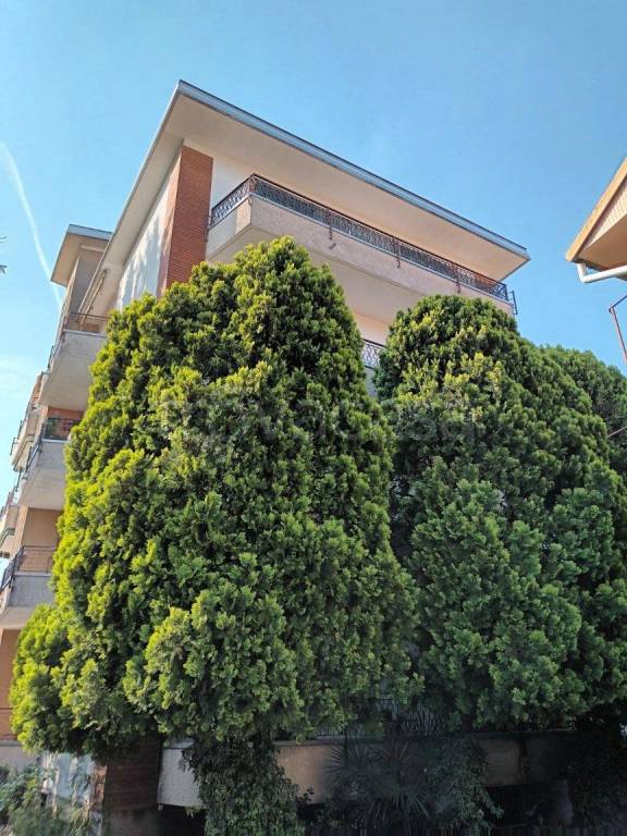 appartamento in affitto a Busto Arsizio