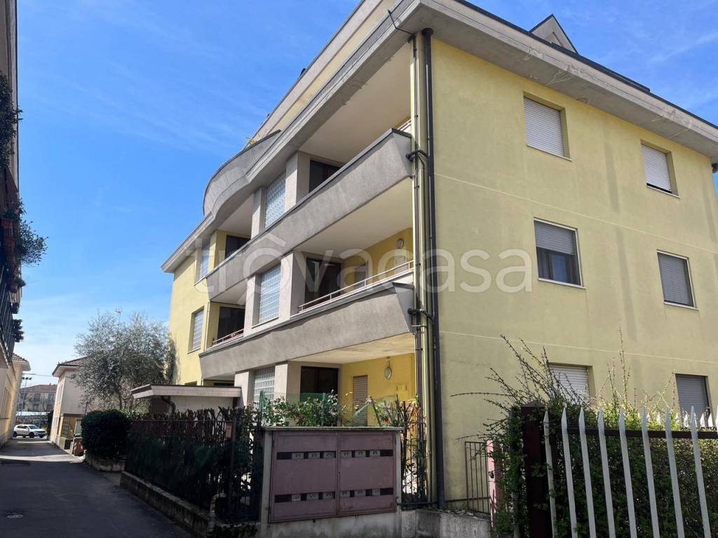 appartamento in affitto a Busto Arsizio
