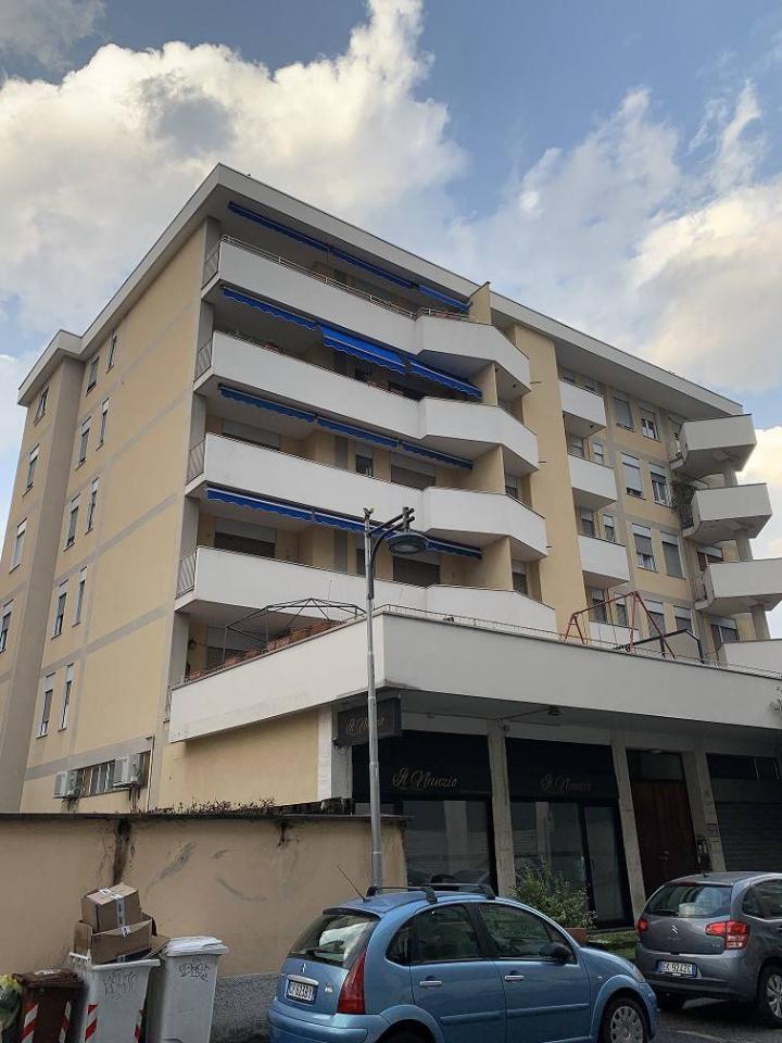appartamento in affitto a Busto Arsizio