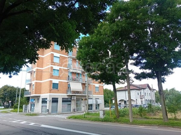appartamento in affitto a Busto Arsizio