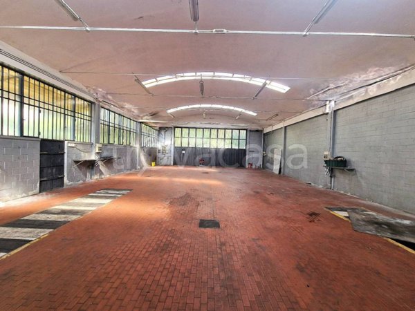 appartamento in affitto a Busto Arsizio