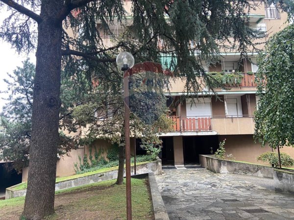 appartamento in affitto a Busto Arsizio