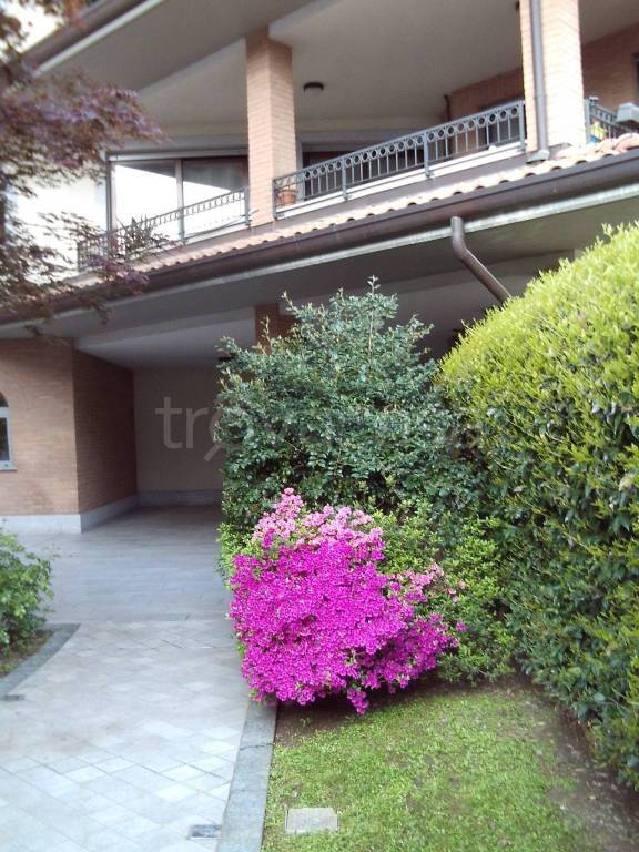 appartamento in affitto a Busto Arsizio