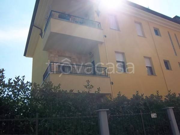 appartamento in affitto a Busto Arsizio