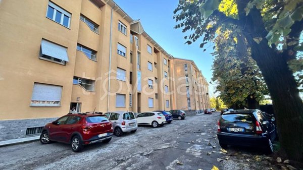 appartamento in affitto a Busto Arsizio