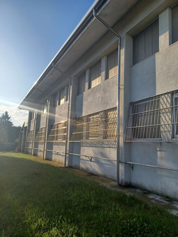 capannone in affitto a Busto Arsizio