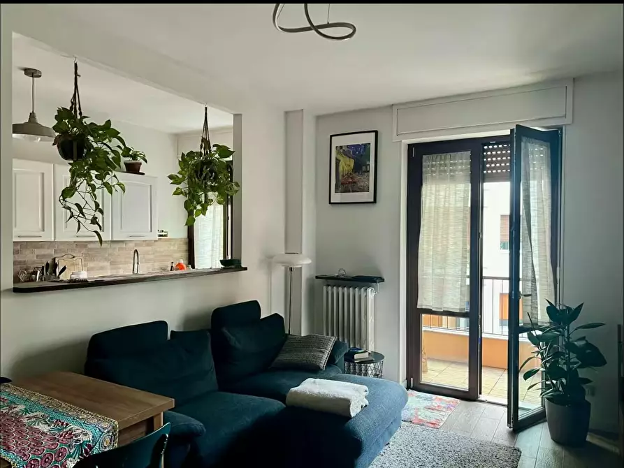 appartamento in affitto a Busto Arsizio