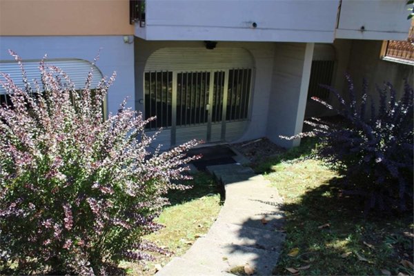 appartamento in affitto a Busto Arsizio