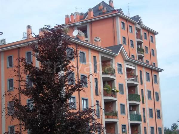 appartamento in affitto a Busto Arsizio