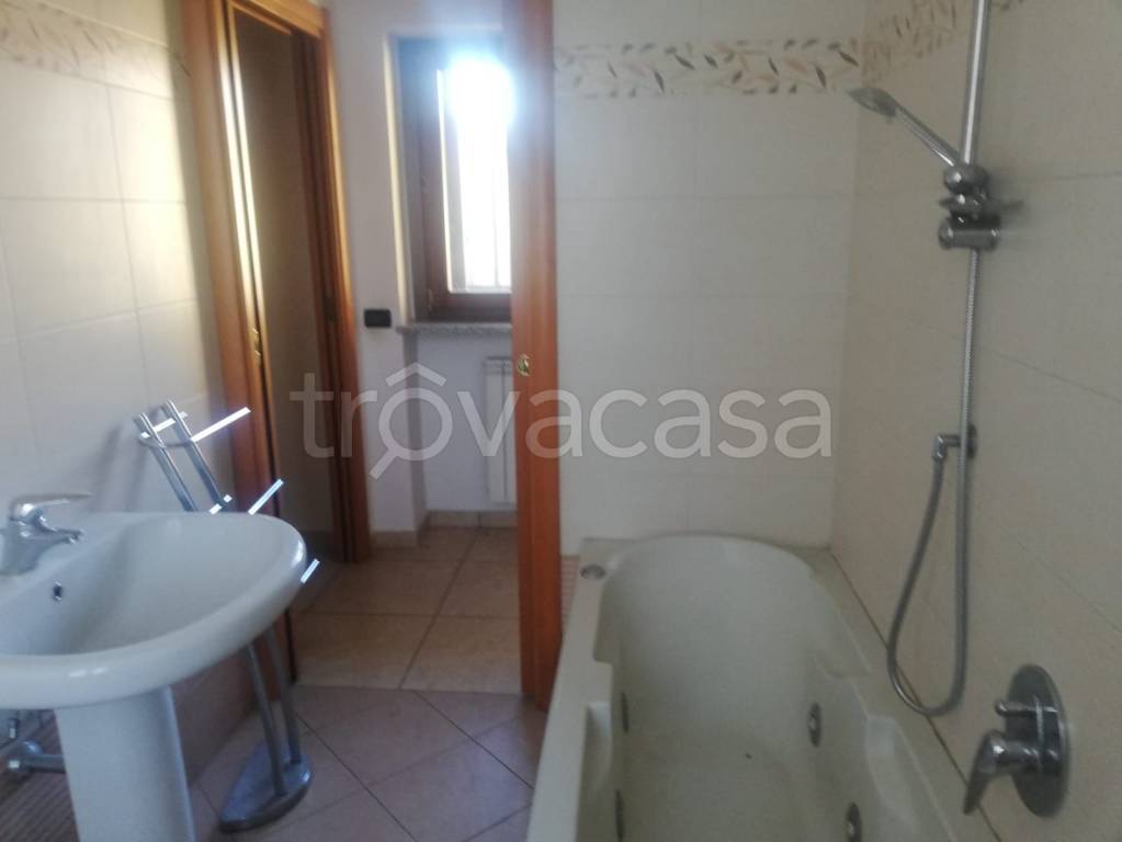 appartamento in affitto a Busto Arsizio