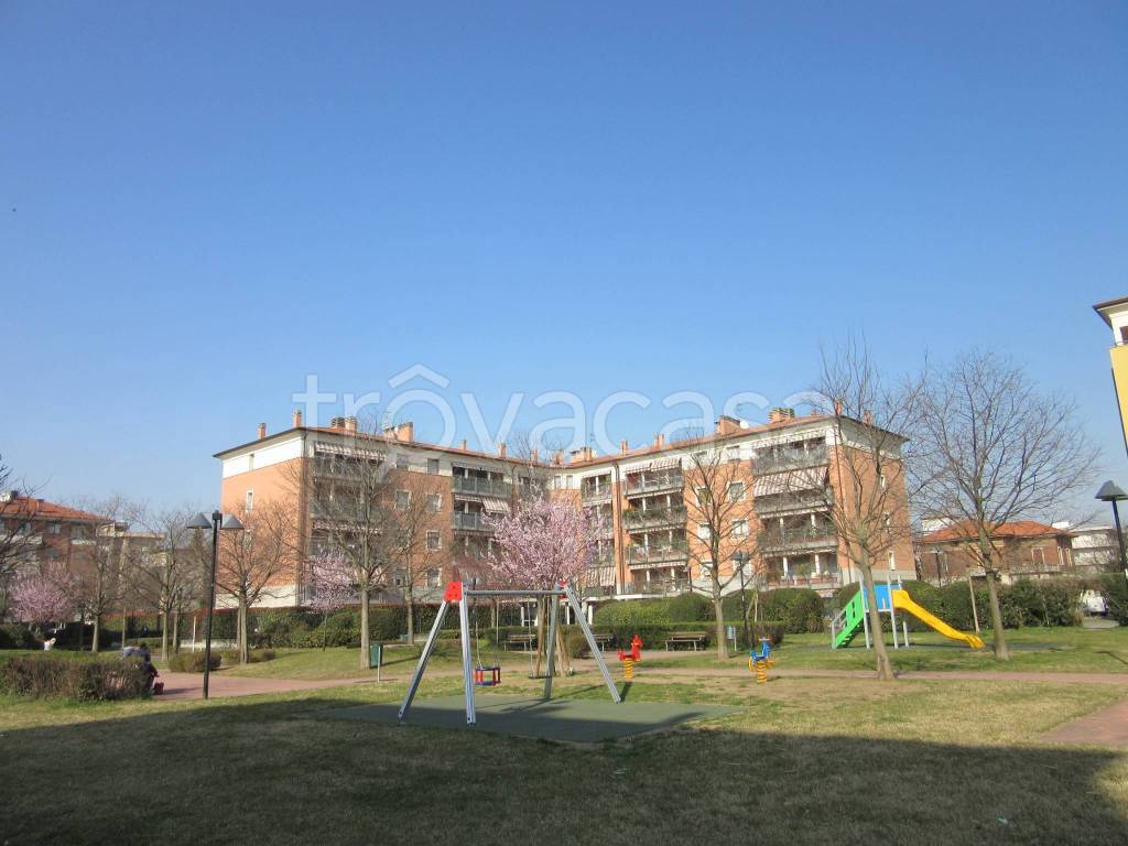 appartamento in affitto a Busto Arsizio