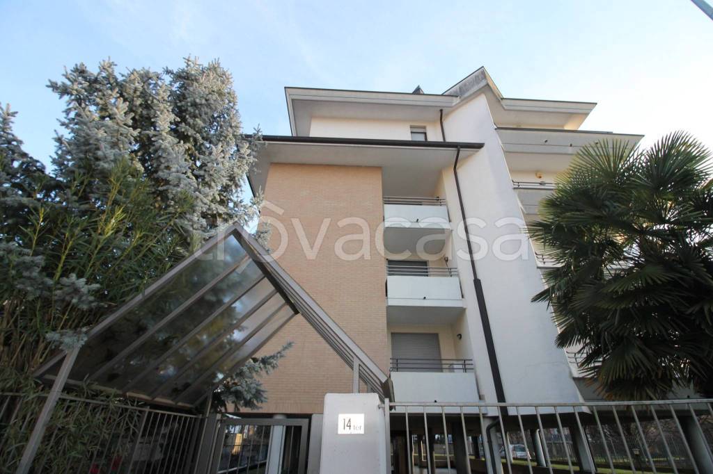 appartamento in affitto a Busto Arsizio