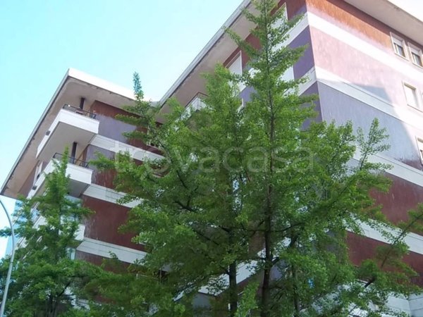 appartamento in affitto a Busto Arsizio