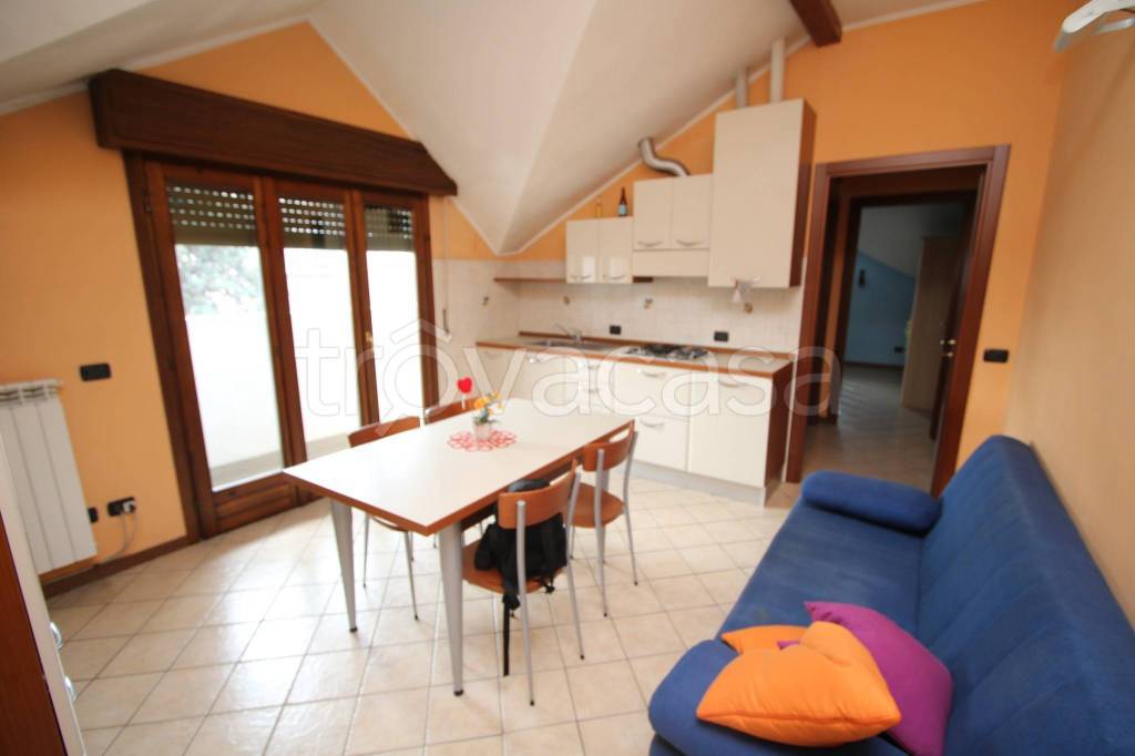 appartamento in affitto a Busto Arsizio