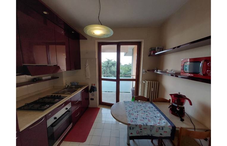 appartamento in affitto a Busto Arsizio