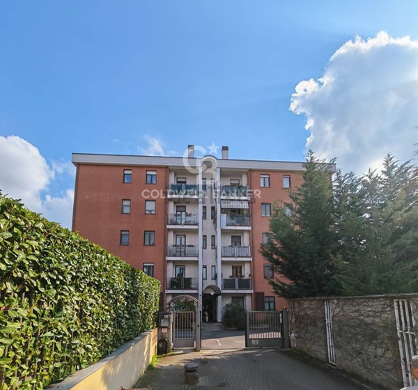 appartamento in affitto a Busto Arsizio