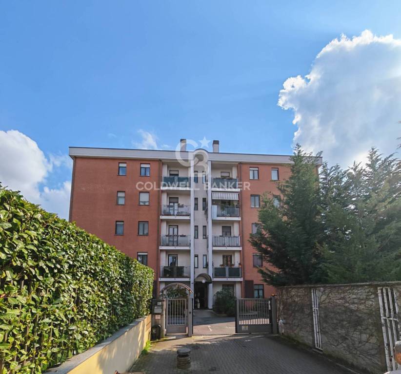 appartamento in affitto a Busto Arsizio