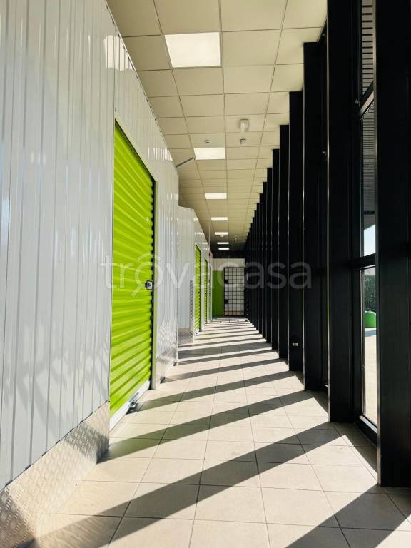 appartamento in affitto a Busto Arsizio