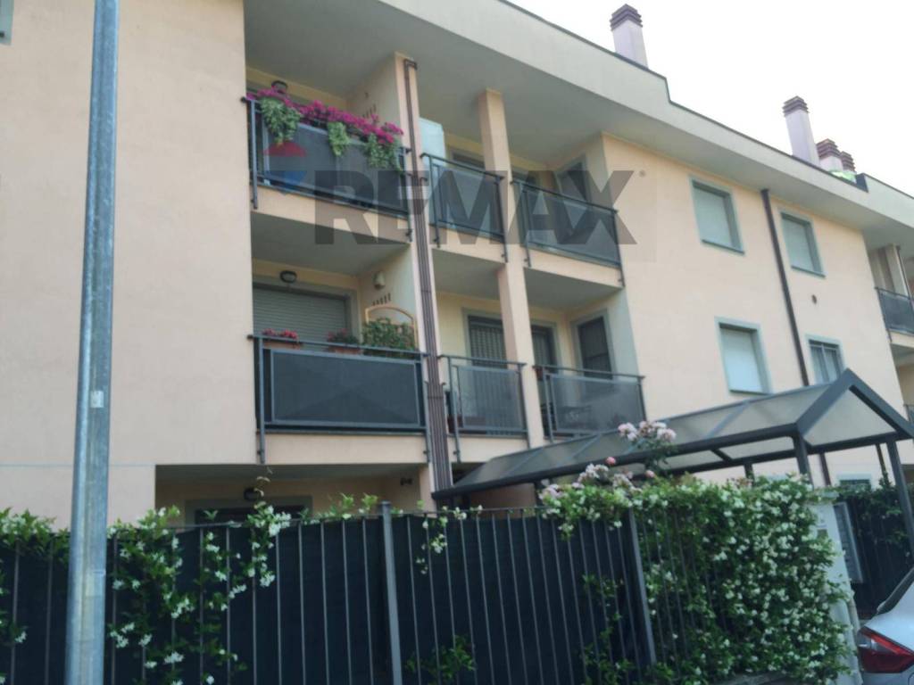 appartamento in affitto a Busto Arsizio