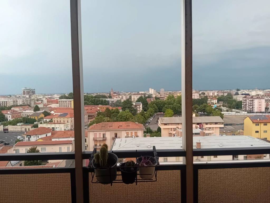 appartamento in affitto a Busto Arsizio