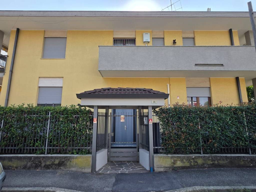 appartamento in affitto a Busto Arsizio