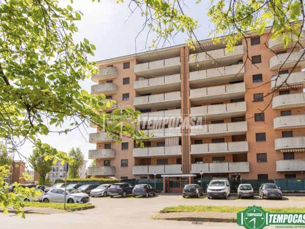 appartamento in affitto a Busto Arsizio