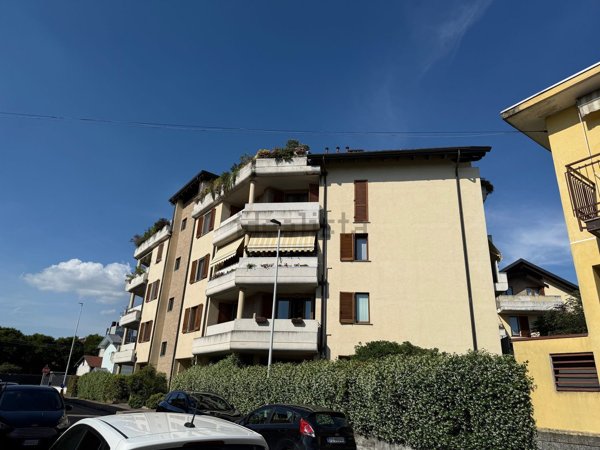 appartamento in affitto a Busto Arsizio