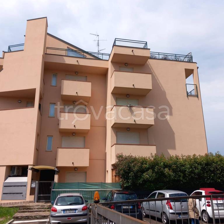 appartamento in affitto a Cardano al Campo