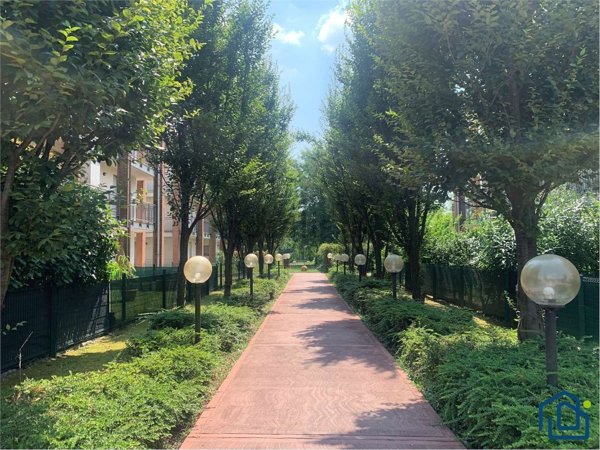 appartamento in affitto a Cardano al Campo