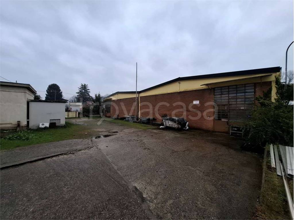 appartamento in affitto a Cardano al Campo