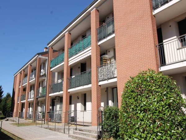 appartamento in affitto a Cardano al Campo