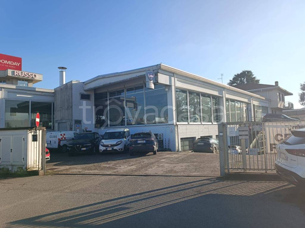 negozio in affitto a Cardano al Campo