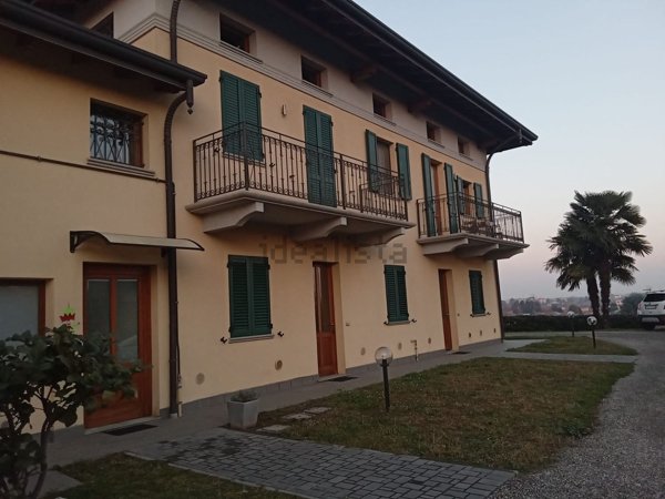 appartamento in affitto a Cardano al Campo