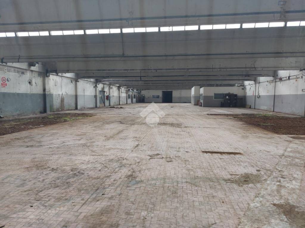 capannone in affitto a Caronno Pertusella