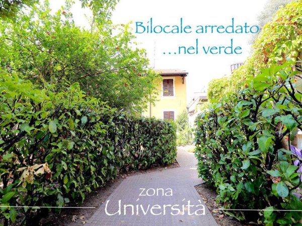 appartamento in affitto a Castellanza