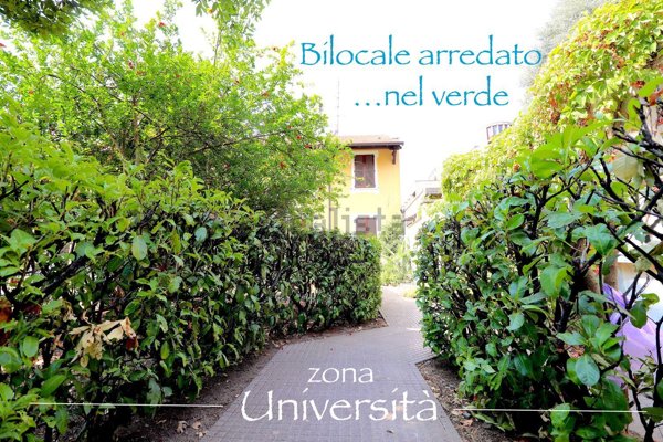 appartamento in affitto a Castellanza