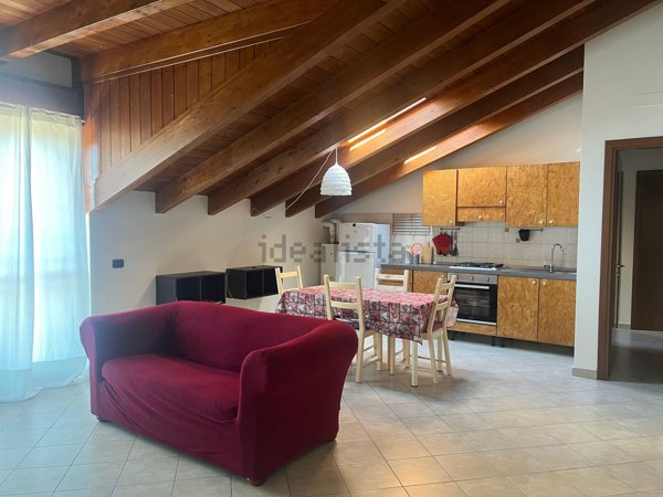 appartamento in affitto a Castellanza