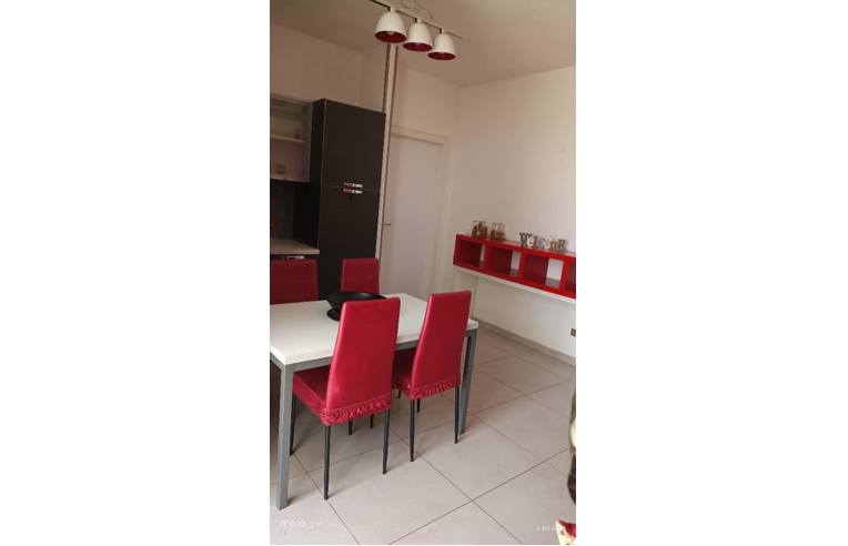 appartamento in affitto a Castellanza