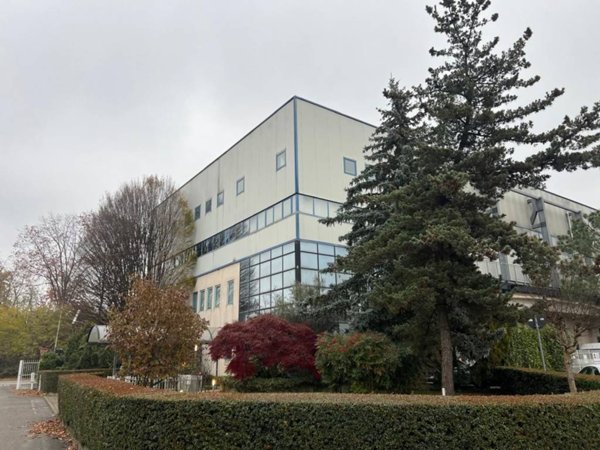ufficio in affitto a Cavaria con Premezzo