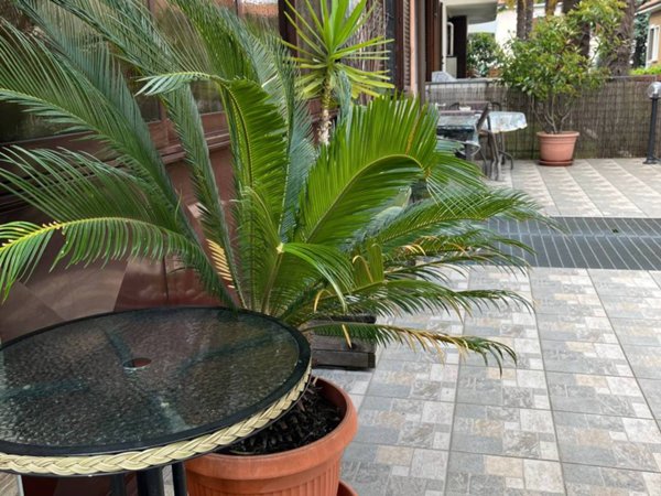 casa indipendente in affitto a Gallarate in zona Arnate