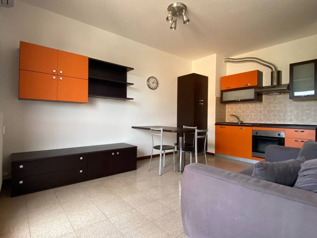 appartamento in affitto a Gallarate in zona Sciarè