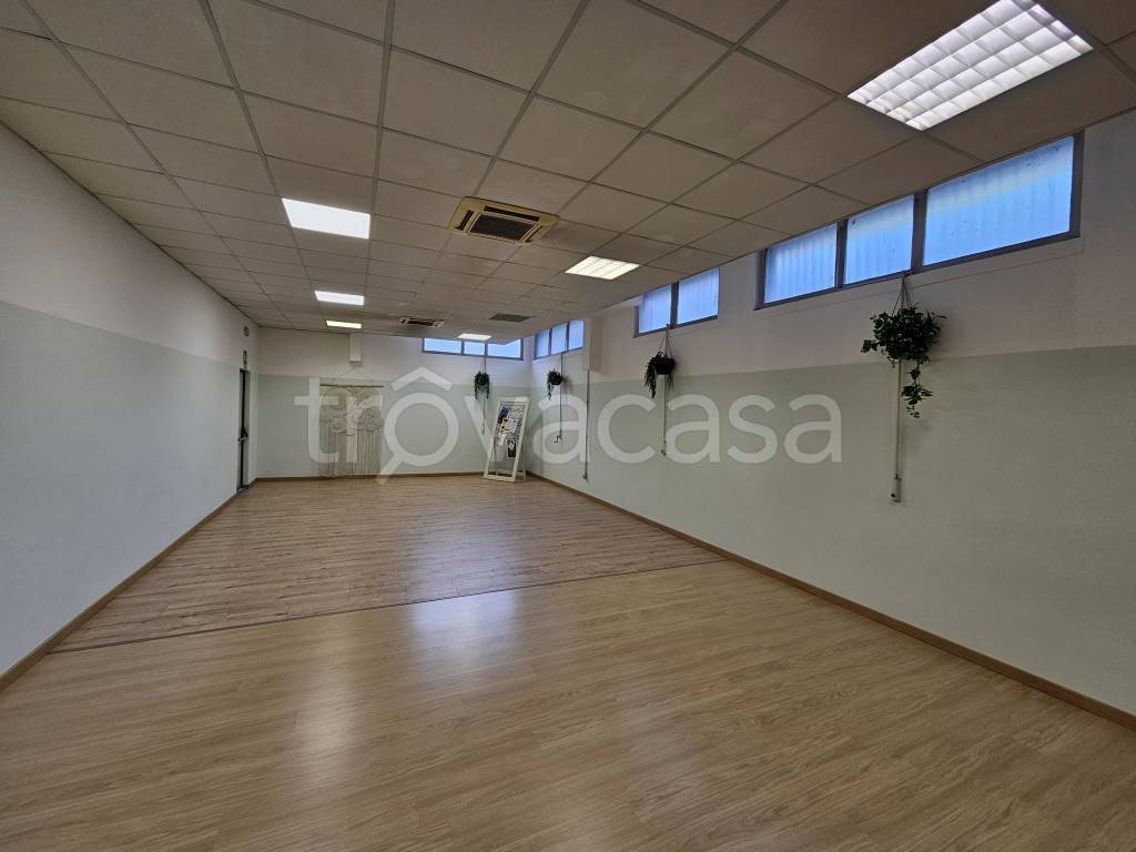 appartamento in affitto a Gallarate in zona Sciarè