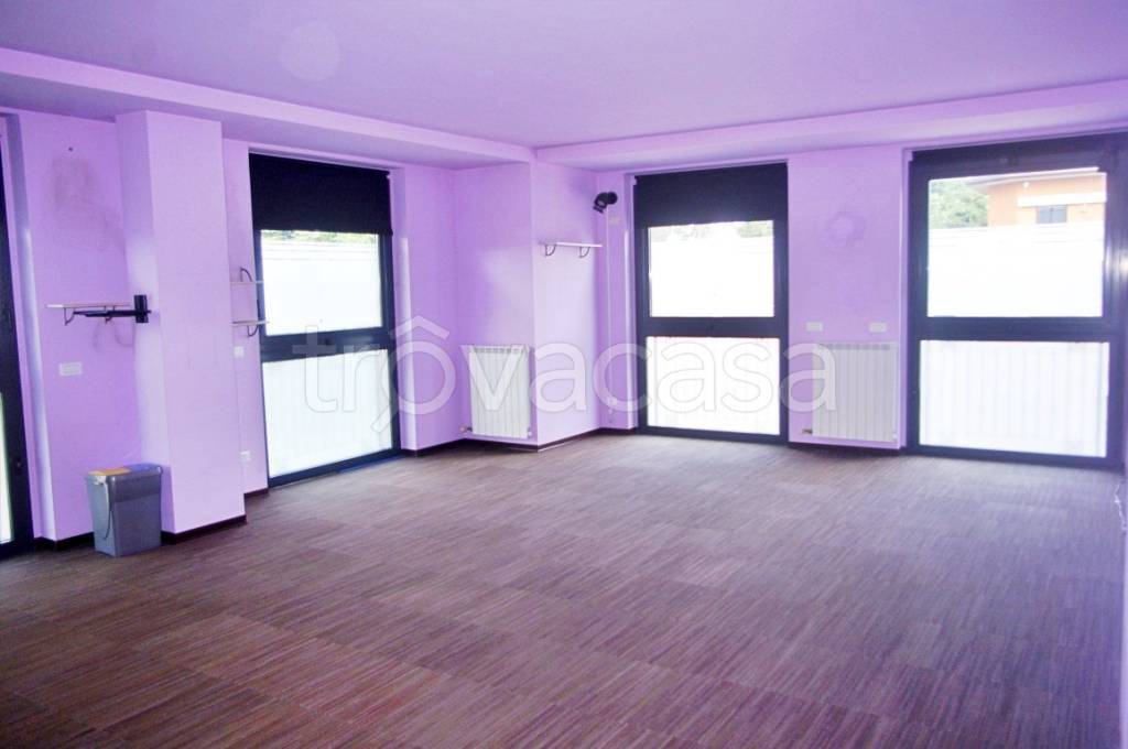 appartamento in affitto a Gallarate in zona Sciarè