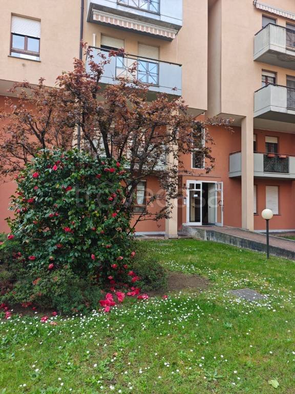 appartamento in affitto a Gallarate in zona Madonna in Campagna