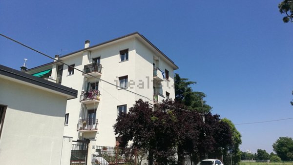 appartamento in affitto a Gallarate in zona Arnate