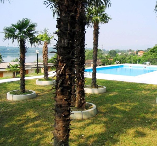 appartamento in affitto a Gavirate