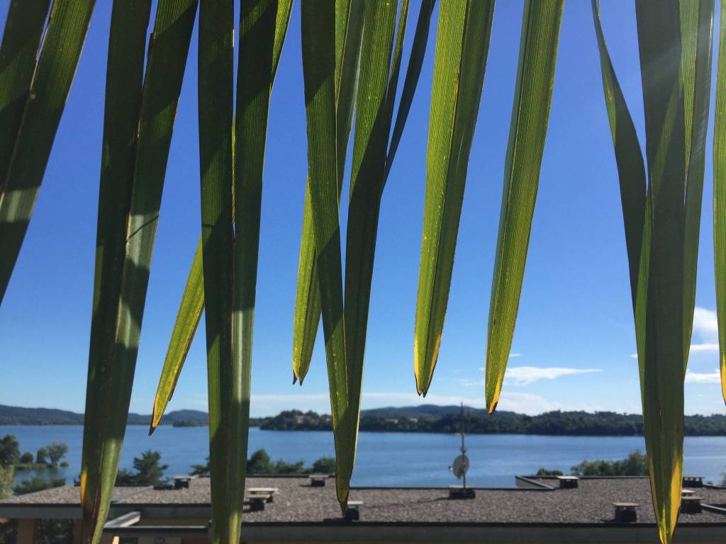 appartamento in affitto a Gavirate