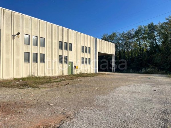 locale commerciale in affitto a Gorla Maggiore